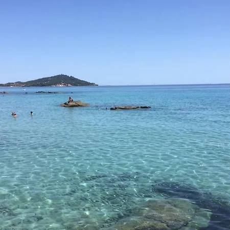 Basecamp Ogliastra - Flat White *