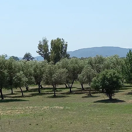 Basecamp Ogliastra - Flat White Apartamento