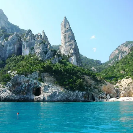 Basecamp Ogliastra - Flat White *