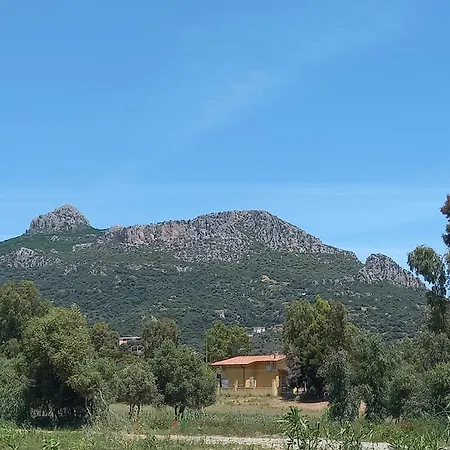 Basecamp Ogliastra - Flat White *